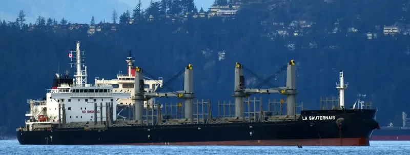 LA SAUTERNAIS Bulk Carrier IMO 9733272