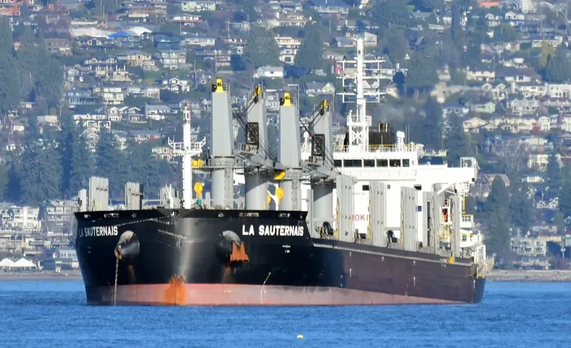 LA SAUTERNAIS Bulk Carrier IMO 9733272 photo 2