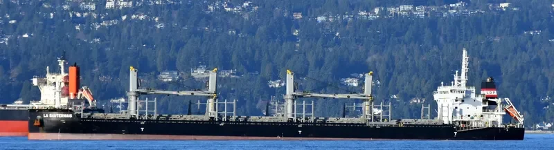 LA SAUTERNAIS Bulk Carrier IMO 9733272 photo 3