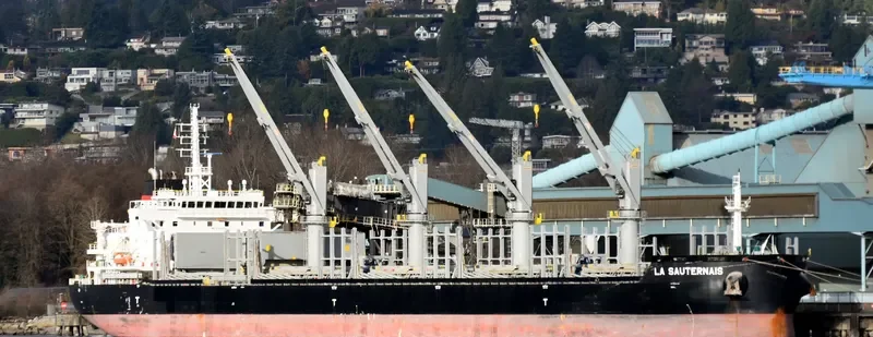 LA SAUTERNAIS Bulk Carrier IMO 9733272 photo 4