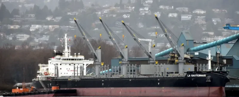 LA SAUTERNAIS Bulk Carrier IMO 9733272 photo 5