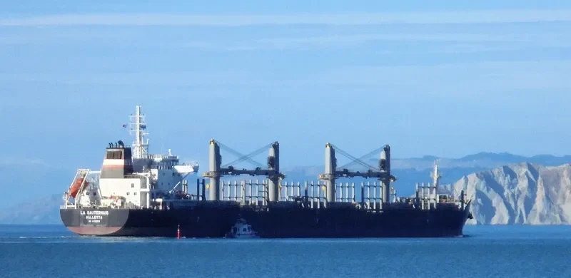 LA SAUTERNAIS Bulk Carrier IMO 9733272 photo 10