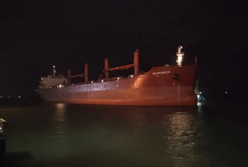 SILKROAD 03 Bulk Carrier IMO 9733313