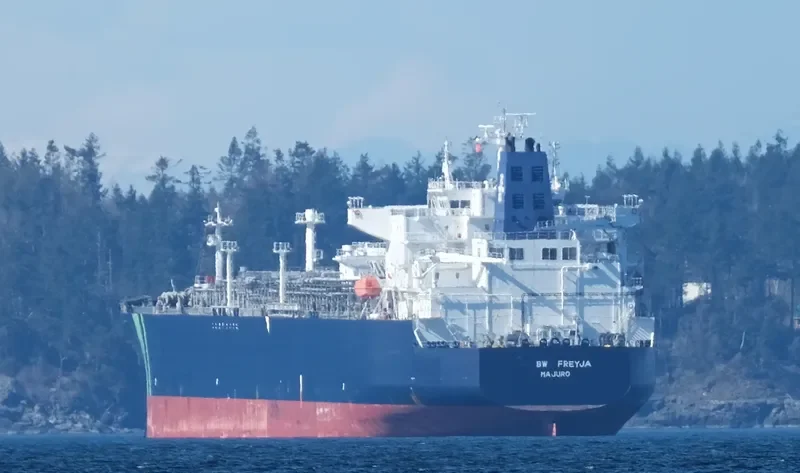 BW FREYJA General Cargo IMO 9733325 photo 4