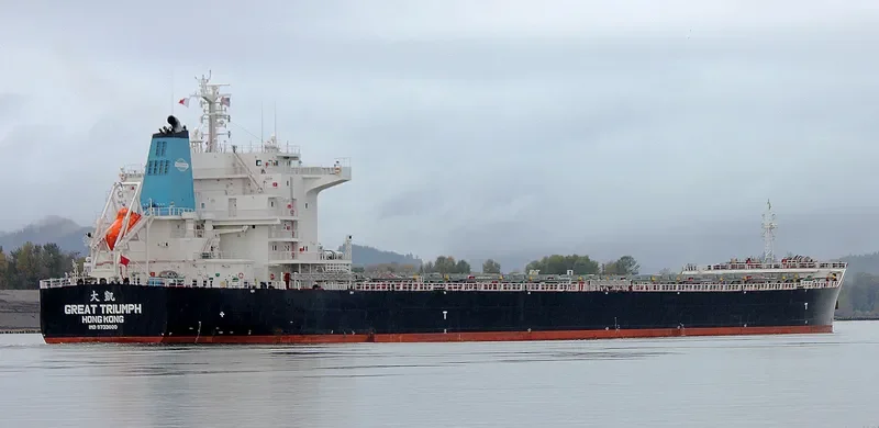 GREAT TRIUMPH Bulk Carrier IMO 9733600 photo 2