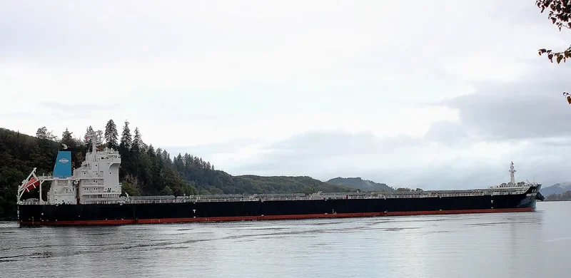 GREAT TRIUMPH Bulk Carrier IMO 9733600 photo 3