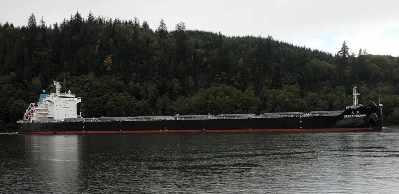 GREAT TRIUMPH Bulk Carrier IMO 9733600 photo 4