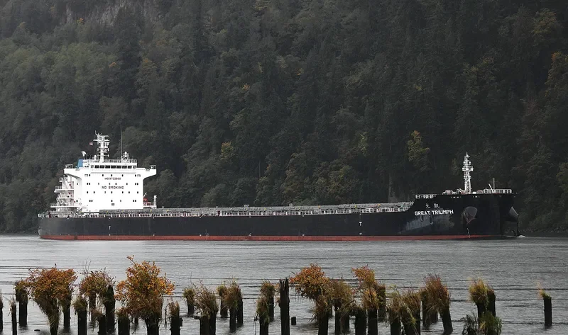 GREAT TRIUMPH Bulk Carrier IMO 9733600 photo 5