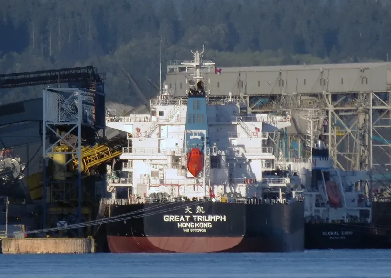GREAT TRIUMPH Bulk Carrier IMO 9733600 photo 6