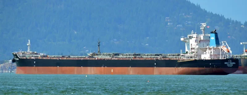 GREAT TRIUMPH Bulk Carrier IMO 9733600 photo 7