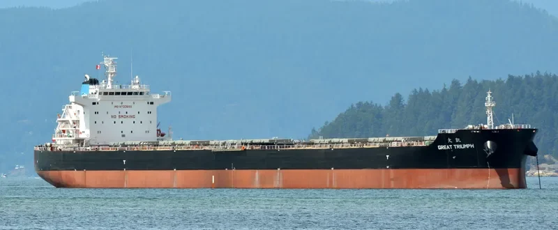GREAT TRIUMPH Bulk Carrier IMO 9733600 photo 8