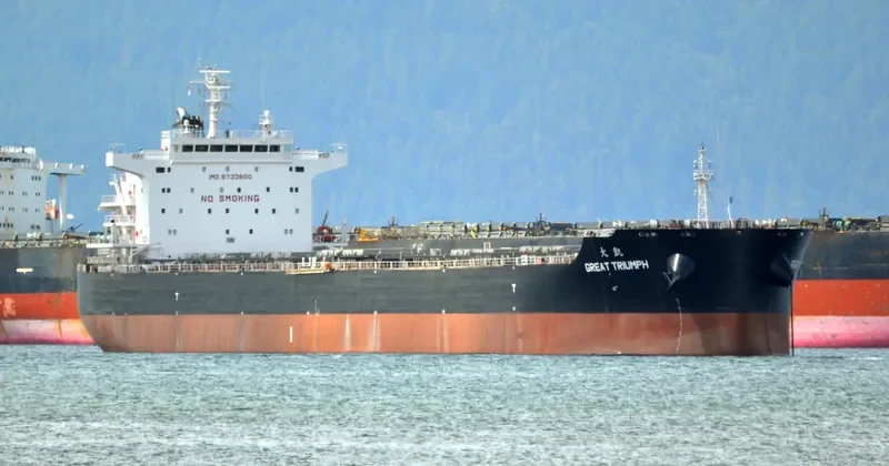 GREAT TRIUMPH Bulk Carrier IMO 9733600 photo 9
