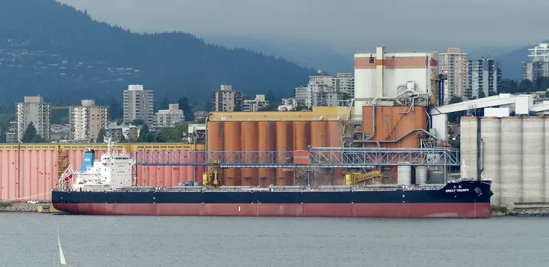 GREAT TRIUMPH Bulk Carrier IMO 9733600 photo 10