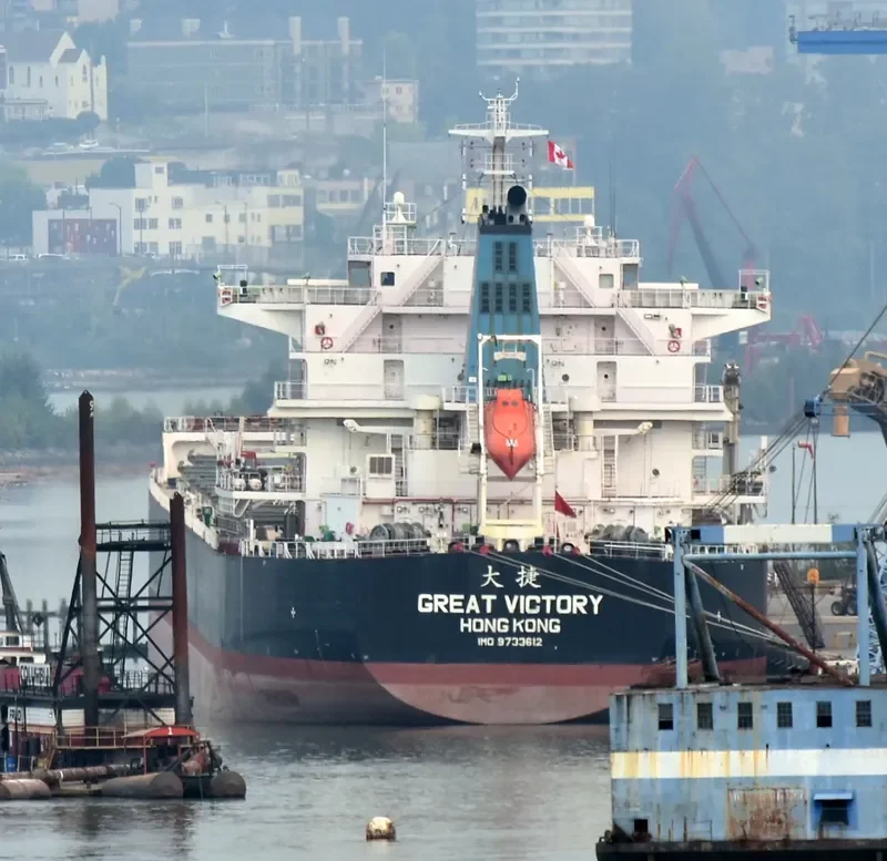 GREAT VICTORY Bulk Carrier IMO 9733612