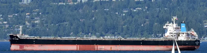 GREAT VICTORY Bulk Carrier IMO 9733612 photo 6
