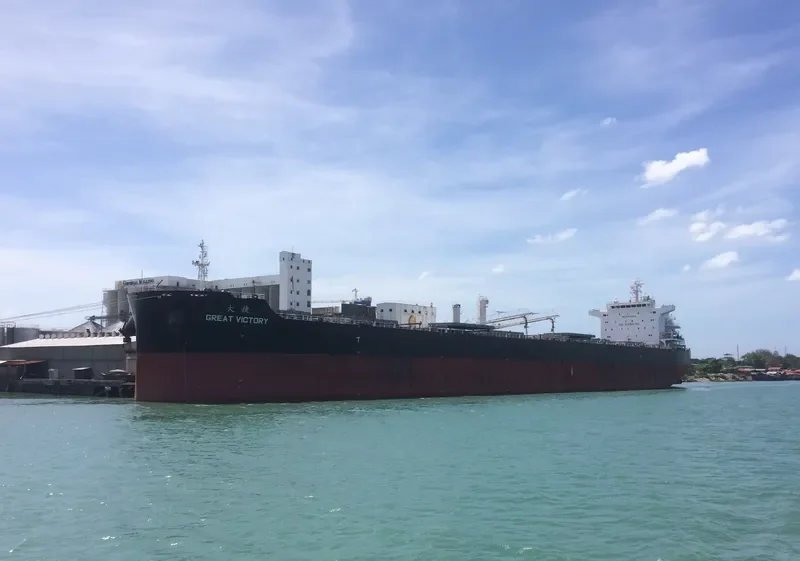 GREAT VICTORY Bulk Carrier IMO 9733612 photo 10