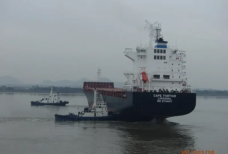 CAPE FORTIUS Container Ship IMO 9734147 photo 3