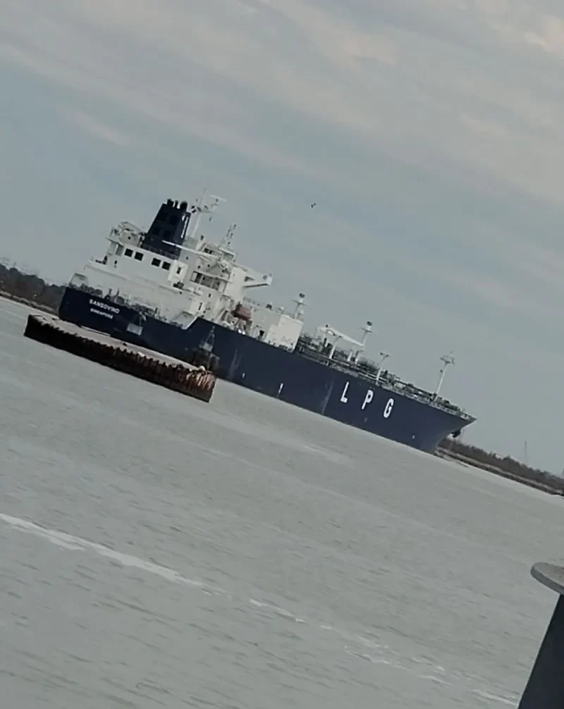 SANSOVINO General Cargo IMO 9734525 photo 6