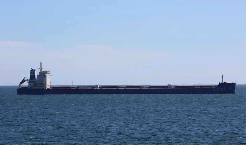 SHANDONG FU EN Bulk Carrier IMO 9734719 photo 3
