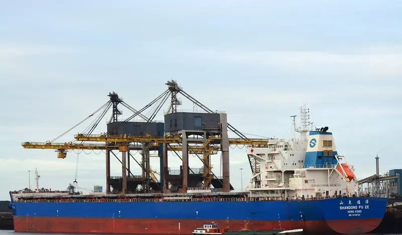 SHANDONG FU ZE Bulk Carrier IMO 9734721