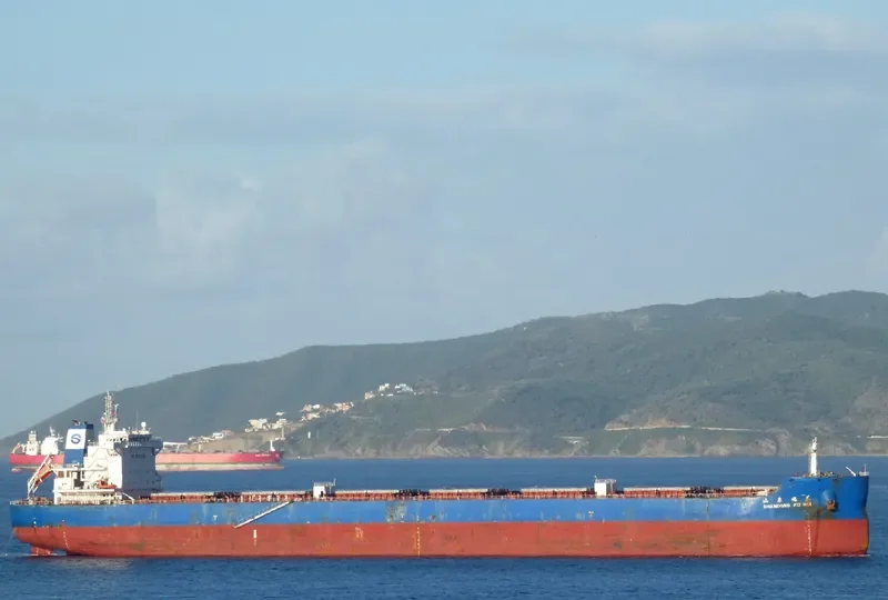 SHANDONG FU HUI Bulk Carrier IMO 9734733 photo 8