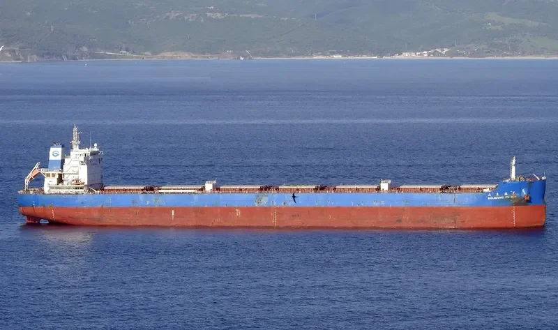 SHANDONG FU HUI Bulk Carrier IMO 9734733 photo 9