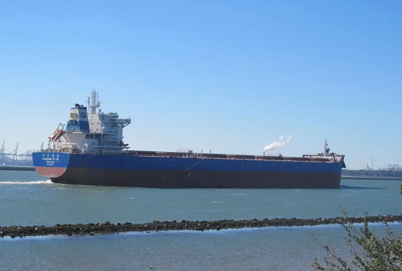 SHANDONG FU DE Bulk Carrier IMO 9734757 photo 7