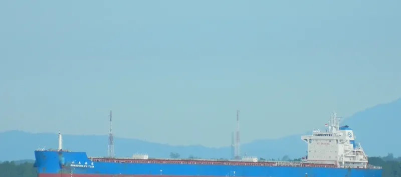 SHANDONG FU YUAN Bulk Carrier IMO 9734769 photo 5