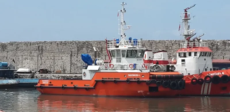 TASKOMURU 1 General Cargo IMO 9734771