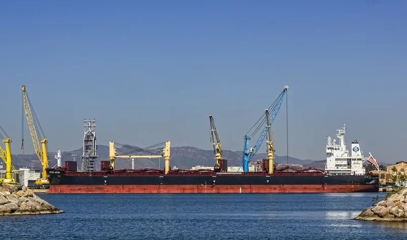 SPAR APUS Bulk Carrier IMO 9734989 photo 2