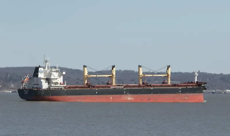 SPAR APUS Bulk Carrier IMO 9734989 photo 9