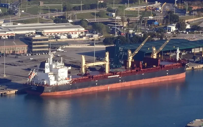 SPAR APUS Bulk Carrier IMO 9734989 photo 10