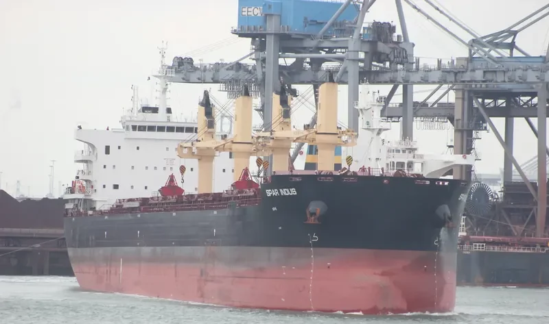 SPAR INDUS Bulk Carrier IMO 9734991