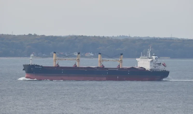 SPAR INDUS Bulk Carrier IMO 9734991 photo 2
