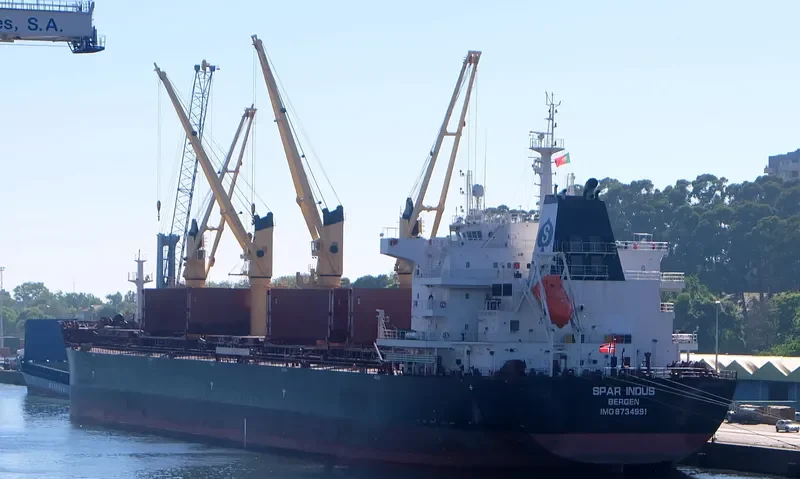 SPAR INDUS Bulk Carrier IMO 9734991 photo 3
