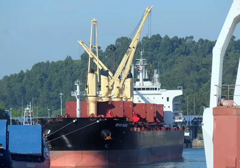 SPAR INDUS Bulk Carrier IMO 9734991 photo 4