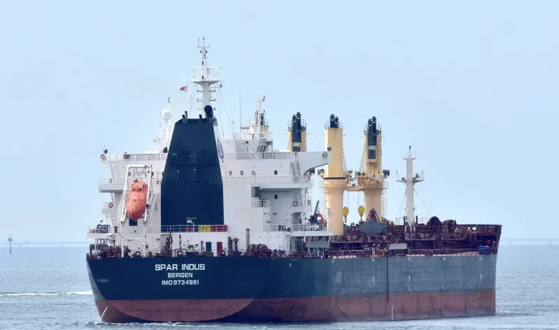 SPAR INDUS Bulk Carrier IMO 9734991 photo 6