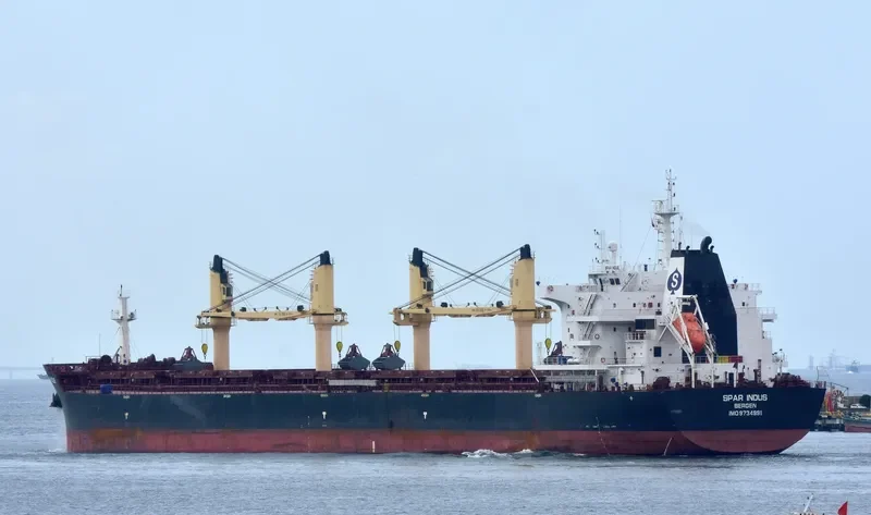 SPAR INDUS Bulk Carrier IMO 9734991 photo 7
