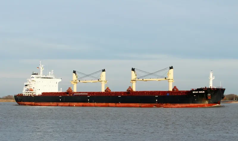 SPAR INDUS Bulk Carrier IMO 9734991 photo 8