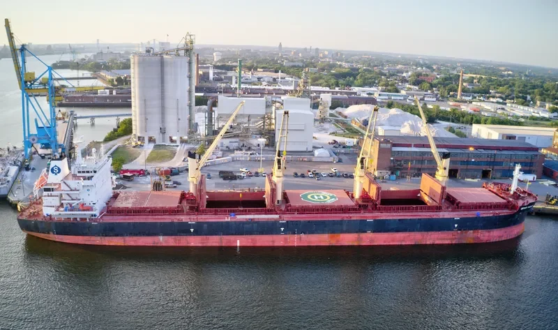 SPAR INDUS Bulk Carrier IMO 9734991 photo 9
