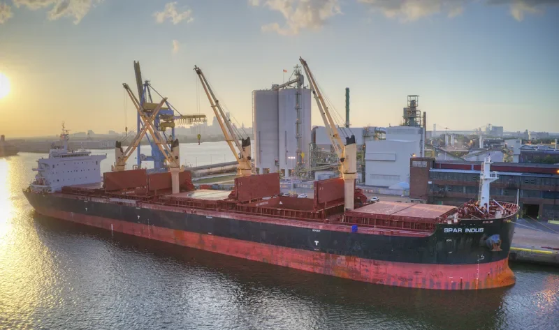 SPAR INDUS Bulk Carrier IMO 9734991 photo 10
