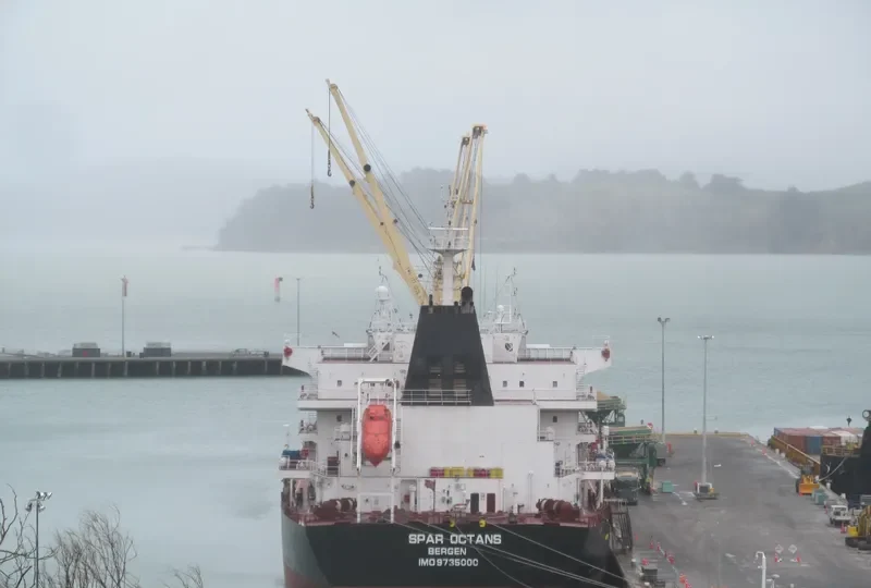 SPAR OCTANS Bulk Carrier IMO 9735000 photo 7