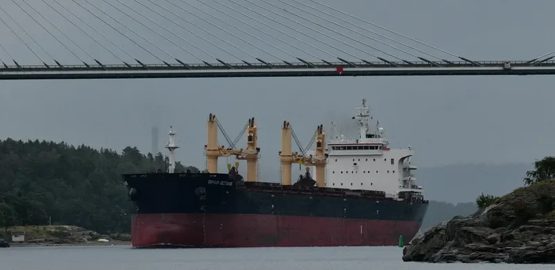 SPAR OCTANS Bulk Carrier IMO 9735000 photo 9