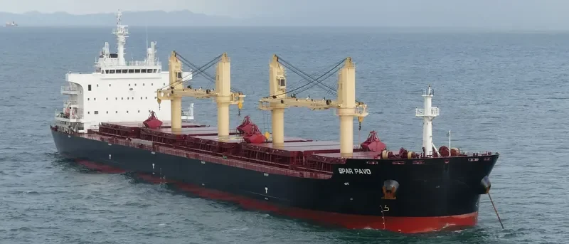 SPAR PAVO Bulk Carrier IMO 9735012 photo 2