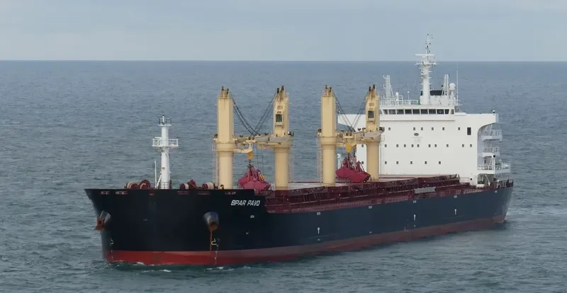 SPAR PAVO Bulk Carrier IMO 9735012 photo 3