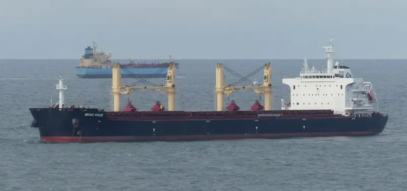 SPAR PAVO Bulk Carrier IMO 9735012 photo 4