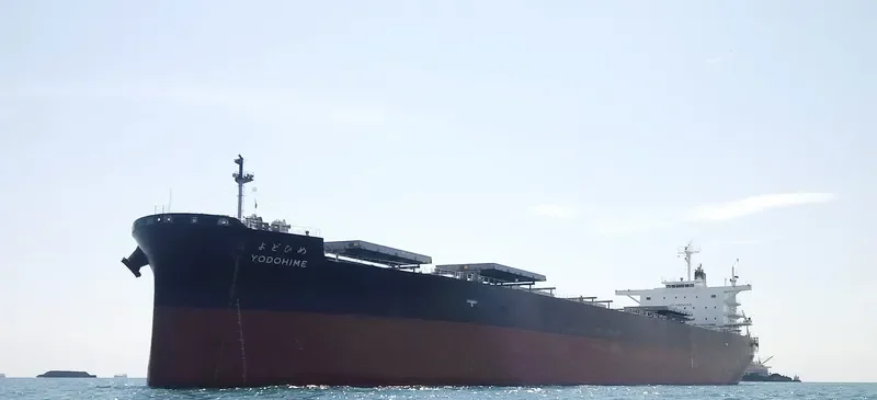 YODOHIME Bulk Carrier IMO 9735024 photo 5