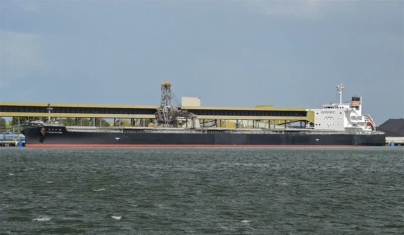 YODOHIME Bulk Carrier IMO 9735024 photo 8