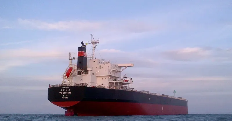 YODOHIME Bulk Carrier IMO 9735024 photo 9