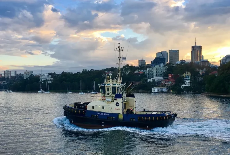 SVITZER BONDI General Cargo IMO 9735086 photo 5